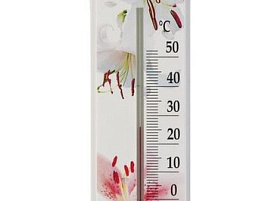 Термометр комнатный Цветок П-1 блистер