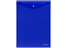 Папка-конверт с кнопкой Berlingo EFb_04002 "No Secret", А4, 200мкм, вертикальная, синяя