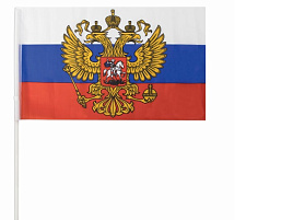 Флаг Россия 30*45 с гербом