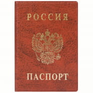 Обложка на паспорт ДПС 2203.В-104 ПВХ, тиснение "Герб", коричневый