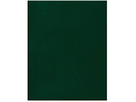 Тетрадь 48л. бумвинил Т5бв48к_12309 Зеленый клетка офсет