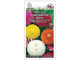 Семена Георгина Самоцветы шаровидная 0,1г ЗСА 0171