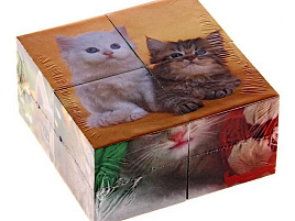 Кубики 4шт 01328 Котята