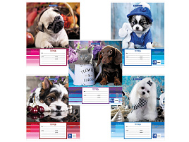 Тетрадь 24л. линия Brauberg 403585 "ЗАБАВНЫЕ ЩЕНКИ", обложка картон