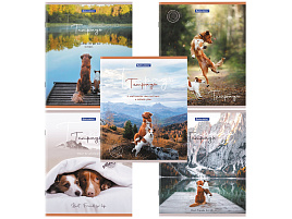 Тетрадь 48л. Brauberg 404360 "Best Friends" (микс в спайке), обложка картон