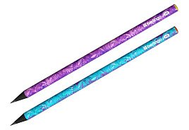 Карандаш ч/гр Berlingo BP00S20 "Flower Art" HB, черное дерево, круглый, заточен., ассорти