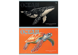 Альбом для рисования 32л. BG АР4ск32 08618 "Ocean"