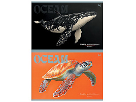 Альбом для рисования 32л. BG АР4ск32 08618 "Ocean"
