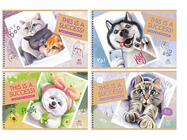 Альбом для рисования 40л. на спирали BG АР4гр40 10894 "Лучший кадр"