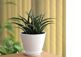 Кашпо цветочное 1,1л Мальта 054573/ белое с поддоном