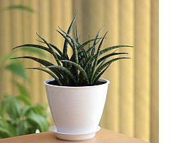 Кашпо цветочное 1,1л Мальта 054573/ белое с поддоном