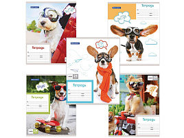 Тетрадь 24л. клетка Brauberg 403007 MY BEST FRIEND, обложка картон