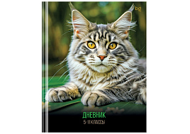 Дневник для ст./кл. Д5т48_лг 64742 "Кот", глянцевая ламинация