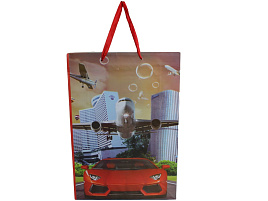 Упаковочная сумочка 32*44 Мужская