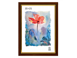 Фоторамка 15*21 205 пластик без стекла