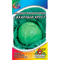 Семена Капуста Сахарный хруст б/к 0,1,г Г 3765