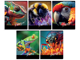 Тетрадь 48л.  Т5ск48 61404 "Смотри", суперэконом