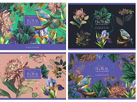 Альбом для рисования 40л. BG АР4ск40 12017 "Птицы в саду"