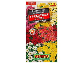 Семена Хризантема Бархатная осень корейс.смесь 0,02г А 5705