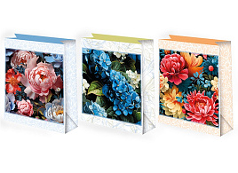 Упаковочная сумочка 18*23 ч53278 Женская микс