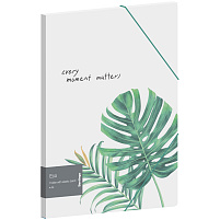 Папка на резинках Berlingo FB4_A4801 "Eco" А4, 600мкм, прозрачная, с рисунком