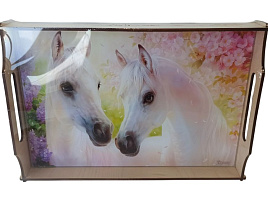 СГ Поднос деревянный+стеклянная доска 131-7391 20*30см