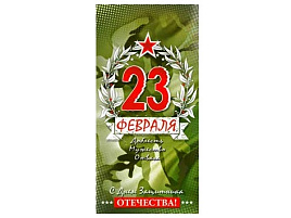 Конверт для денег 23 февраля 90-1330