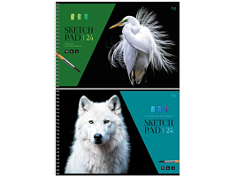 Альбом для рисования 24л. на спирали BG АР4гр24 08631 "Белый в природе"