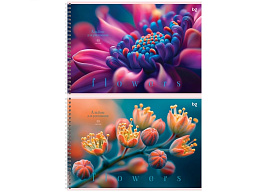 Альбом для рисования 40л. на спирали BG АР4гр40 08642 "Macro flowers"