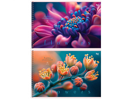 Альбом для рисования 40л. на спирали BG АР4гр40 08642 "Macro flowers"