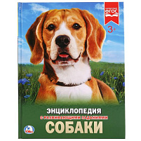 Книга Энциклопедия Р/З 2336-4 Собаки