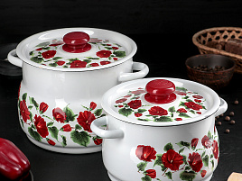 Набор кастрюль эмаль 2пр (4+5,5л) Рамо Сибирские товары N10B60