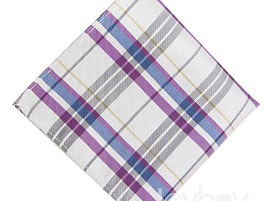 Платок носовой мужской