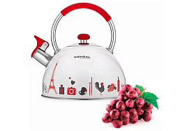 Чайник нержавейка 2,5л VS3001/1880