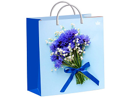 Упаковочная сумочка 26*24/0,140 Милые васильки, мягкий пластик