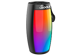 Акустика портативная SCOOLE SL-PS5006B