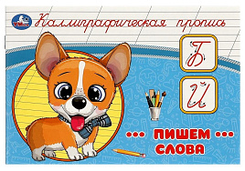 Книга КАЛЛИГРАФИЧЕСКАЯ ПРОПИСЬ 9272-8 Пишем слова