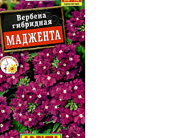 Семена Вербена Маджента 10шт А 9909