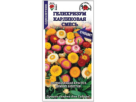 Семена Гелихризум Карликовая смесь 0,1г ЗСА 7989