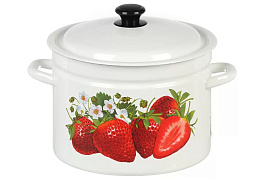 Кастрюля эмаль 9л 41804-212/6-СА Клубника садовая Керчь