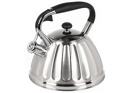 Чайник нержавейка 3л GS-04611/7707 Даникс индукция черный