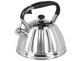 Чайник нержавейка 3л GS-04611/7707 Даникс индукция черный