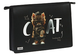 Папка для труда А4 ArtSpace ПТР-22_58231 "Cat life", 2 отделения, пластик, на молнии