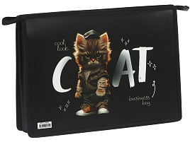 Папка для труда А4 ArtSpace ПТР-22_58231 "Cat life", 2 отделения, пластик, на молнии