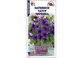 Семена Барвинок Татту Черника 5шт ЗСА 0059