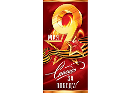 Открытка 9 Мая П29,158 Спасибо зо Победу!