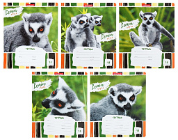 Тетрадь 18л. линия Erich Krause 49190 Lemur Style