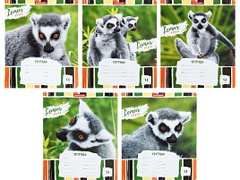 Тетрадь 18л. линия Erich Krause 49190 Lemur Style