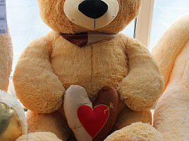 Мягкая игрушка Медведь Давид 80см Б.63