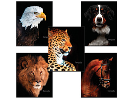 Тетрадь 48л. Brauberg 403034 ЖИВОТНЫЕ, обложка картон